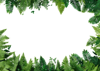 Ferns frame a central void, leafy green botanical border