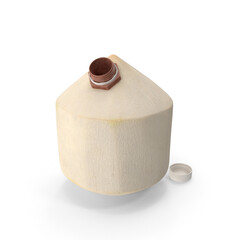 Tender coconut with straw and wooden cap for drinking