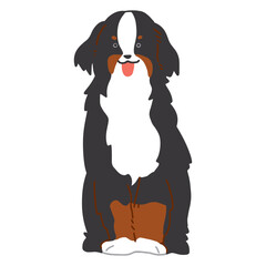 バーニーズマウンテンドッグ　手描き　イラスト