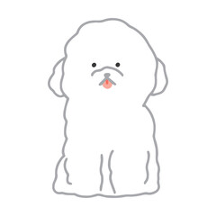ビションフリーゼ　手描き　イラスト