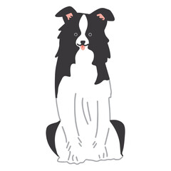ボーダーコリー　手描き　イラスト