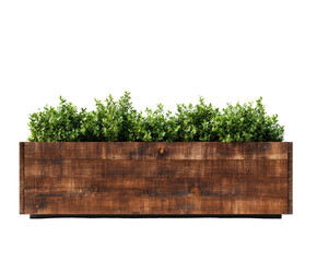Wooden planter box filled with green foliage against a dark background