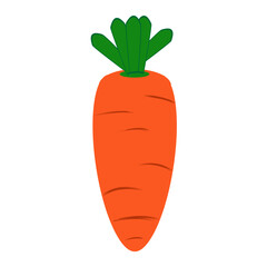illustration of orange carrot. vegetable vector