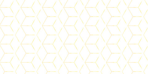 Minimal hexagon vector grid line box and metal cube creative geometric fabric abstract tiles gradient web triangle diamond honeycomb hexagon art.	