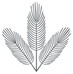 Fototapeta premium Three stylized botanical fronds minimalist line art illustration for nature organic design concepts
