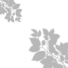 Soft Diagonal Compound Leaf Shadow Overlay with Multiple Foliage