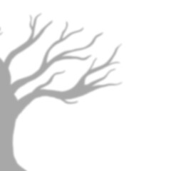 Detailed Tree Branch Shadow Corner Overlay for Background Design