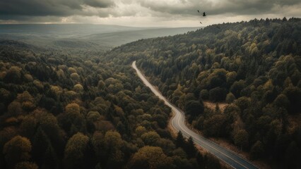 Aerial view of a winding road through a dense forest under a cloudy sky.