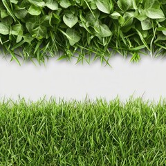 Fresh Green Leaves and Grasses Lying on a White Background Ideal for Natural and Eco-Friendly Themes
