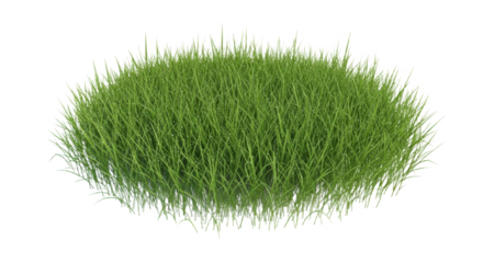 Oval Shaped Green Grass Bush isolated on transparent background