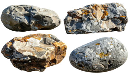 Four isolated weathered stones, gray & brown, speckled surface