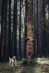 Woman hand embracing a tree in green forest - nature loving, fight global warming, save planet earth