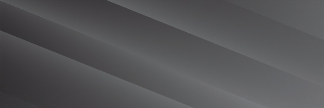 Abstract grey circle elegant background vector illustration for banner business product presentations