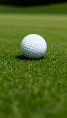 Fototapeta premium Close-up of a white golf ball on manicured green grass. 