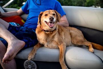 Happy Brown Hound Dog Lying with Male Owner on Pontoon Boat Seat © Cavan
