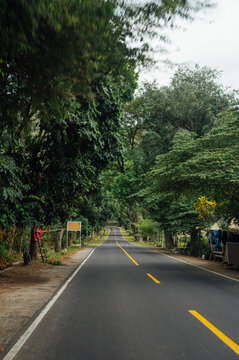 Scenic Tree-Lined Stretch of Jl. Raya Senggigi, Lombok, Indonesia