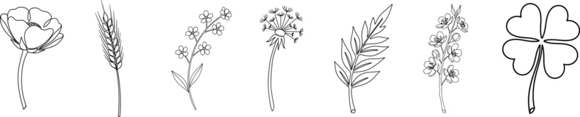 Minimalist continuous line art collection of a poppy, wheat, dandelion, fern, and four-leaf clover in a black and white botanical set.