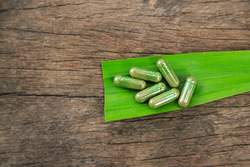 Herbal capsules from green pandan leaf herbal on hand for healthy eating in daily life