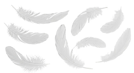 Five Delicate White Feathers Floating Gracefully on a Transparent Background