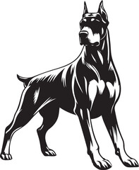 Dobermann Dog Vector 
