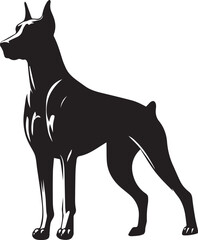 Obraz premium Dobermann Dog Vector 