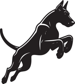 Dobermann Dog Vector 