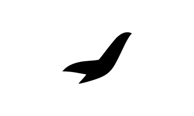 silhouette of a seagull