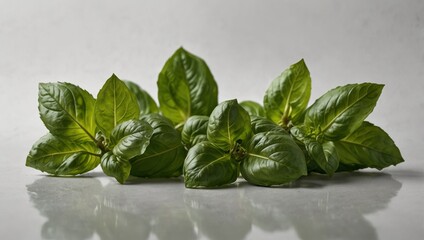 A vibrant cluster of fresh green basil leaves resting on a polished grey surface with a light background