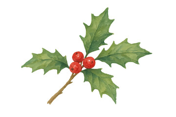 Holly branch watercolor painting with green leaves and red berries, conveying christmas, winter holidays, and festive decoration
