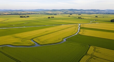 Aerial view of a vibrant agricultural landscape with rivers and fields