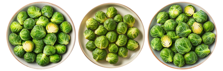 Green Brussels sprouts in ceramic bowl, fresh and raw, isolated on white transparent background. Healthy vegetable concept, organic food ingredient