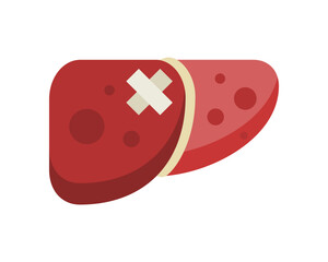 Liver disease medical with cross adhesive plaster tape icon flat vector design