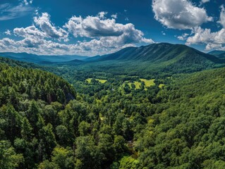 Lush green valley nestled between majestic mountains under a vibrant sky