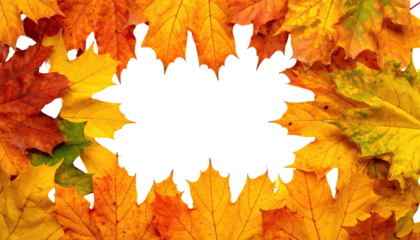 Autumn leaves surround a central black void