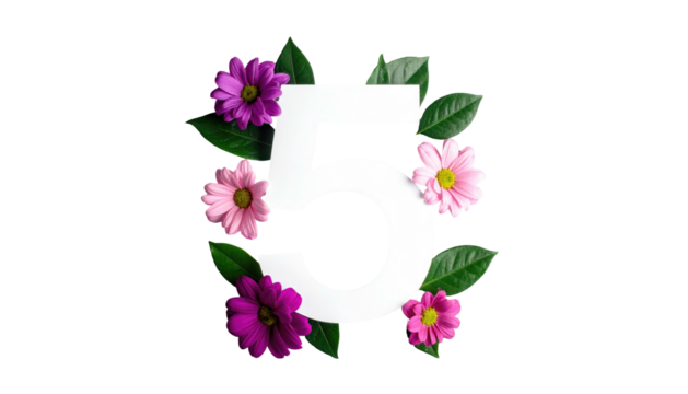 White number 5 surrounded by pink/purple daisies and green leaves, isolated on black