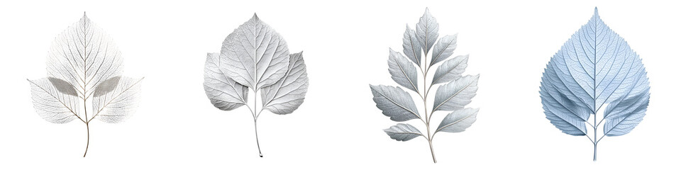 Monochrome Leaf Collection: Botanical Illustrations in Shades of Gray and Blue