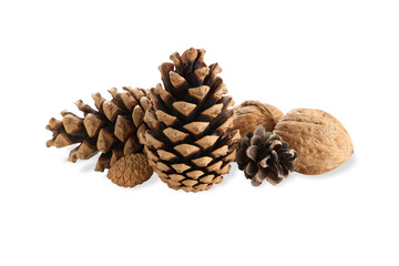 Decorative pine cones and walnuts perfect for crafts, on white, PNG