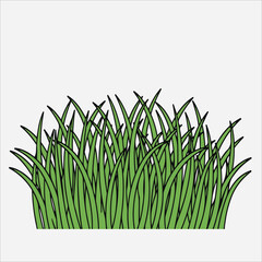 Illustration of a bunch of green grass blades with black outlines against a white background.