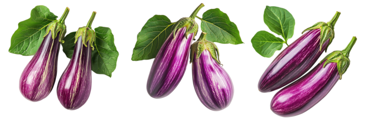 Fresh eggplants with leaves, isolated on white transparent background, concept of healthy eating.