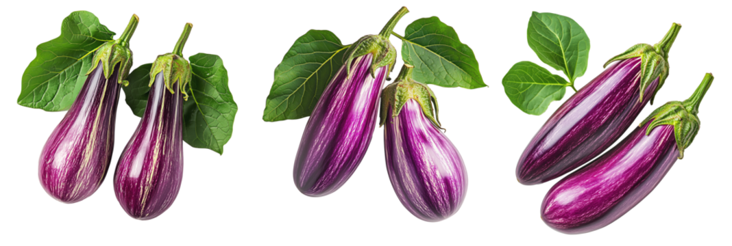 Fresh eggplants with leaves, isolated on white transparent background, concept of healthy eating.