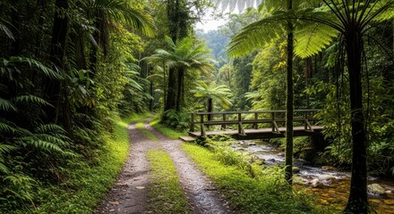 Dirt path through lush green forest leading to a wooden bridge