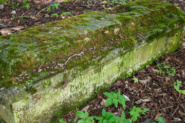 Weathered mossy tombstone, ancient Russian inscription, nestled in a quiet, overgrown natural setting. A somber relic of history