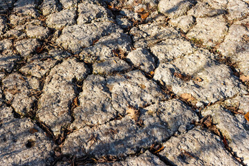 Detailed view of severely cracked and weathered concrete pavement, scattered with dry autumn leaves and shadowed by late afternoon sun