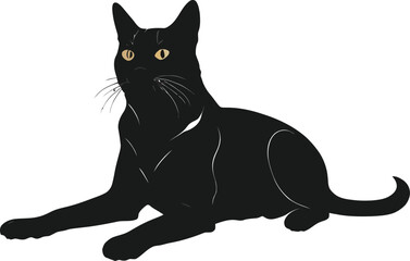 Fototapeta premium Black cat sitting on a white background with bright eyes