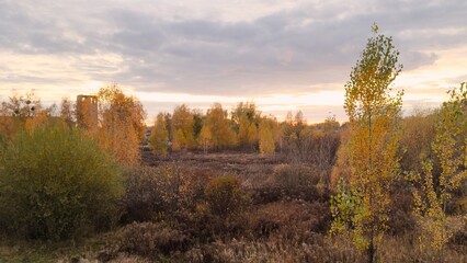 Fototapeta premium An autumn landscape with trees covered in yellow and orange leaves against the backdrop of the setting sun is a natural scene that combines warm light, autumn colors, and a peaceful atmosphere.