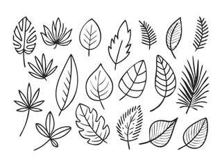 vector set of leaves silhouettes