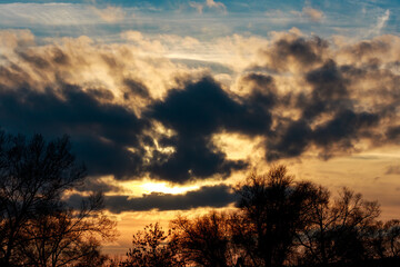 A peculiar cloud grimace forms in the dramatic evening sky, observing dark tree silhouettes below