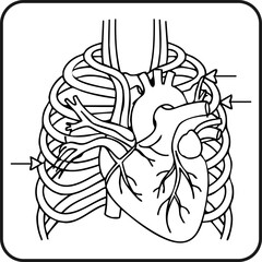 Healthcare Heart Bypass Surgery