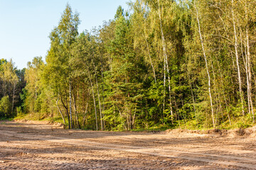 Cleared forest land for development, showing an empty dirt track beside a vibrant woodland. Construction site preparation in late summer