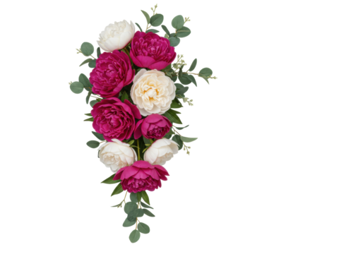 Isolated peony cascade, floral arrangement with white and magenta flowers on greenery